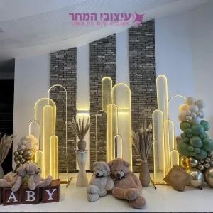 קיר צילום מרגנית