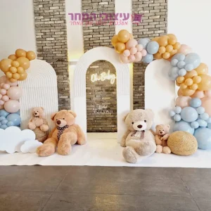 קיר צילום שירה