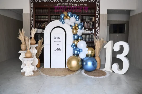 קיר צילום רובי