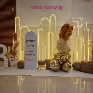 קיר צילום פנינה