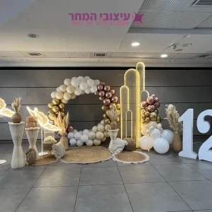 קיר צילום אגת