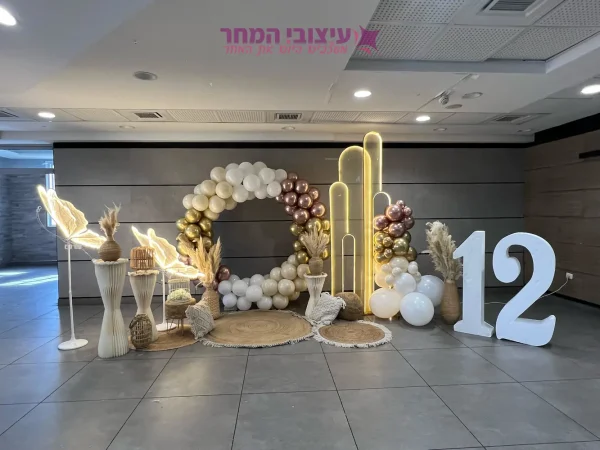 קיר צילום אגת
