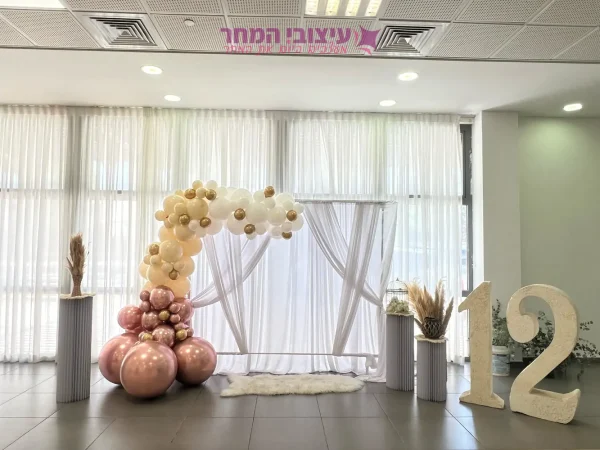 קיר צילום אירוס