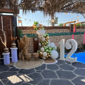 קיר צילום אלמה