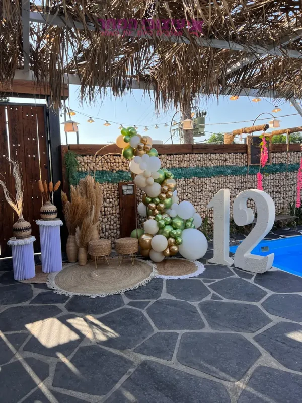 קיר צילום אלמה
